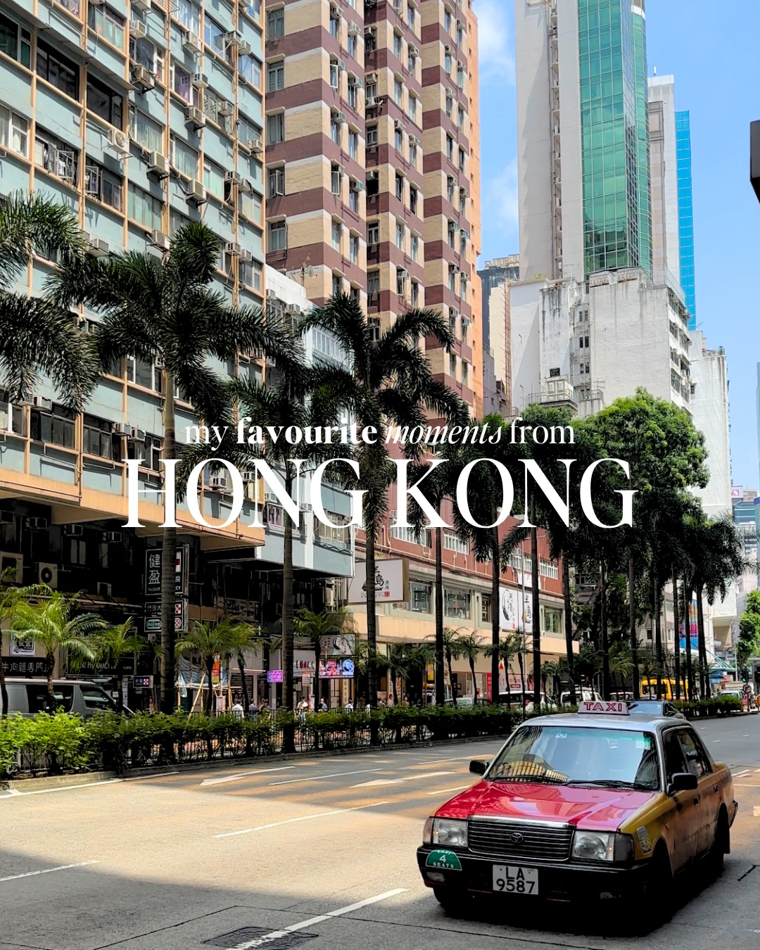Comment LINK for my guide on the best things to do in Hong Kong 🇭🇰

Hong Kong might not be the first place you think of for a girls’ trip, but it should be. 

It’s busy in the best way, with so much to see and do without it feeling overwhelming. If it’s been on your list for a while, take this as your sign to book it.

#hongkong #hongkongtravel #hongkongfood #hongkongthingstodo #hongkongguide

Hong Kong, hong kong things to do, things to do in hong kong, hong kong travel, victoria peak, star ferry, tsim sha tsui, central hong kong travel tips