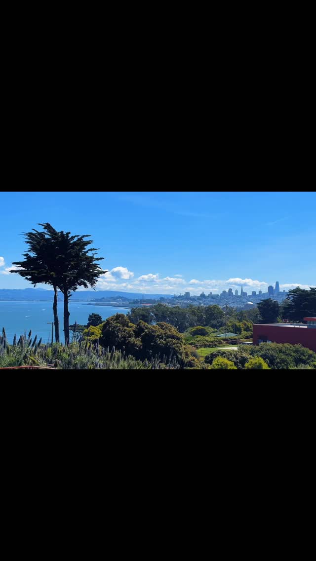 San Francisco, you have my ❤️

#sanfrancisco #sanfranciscobay #california