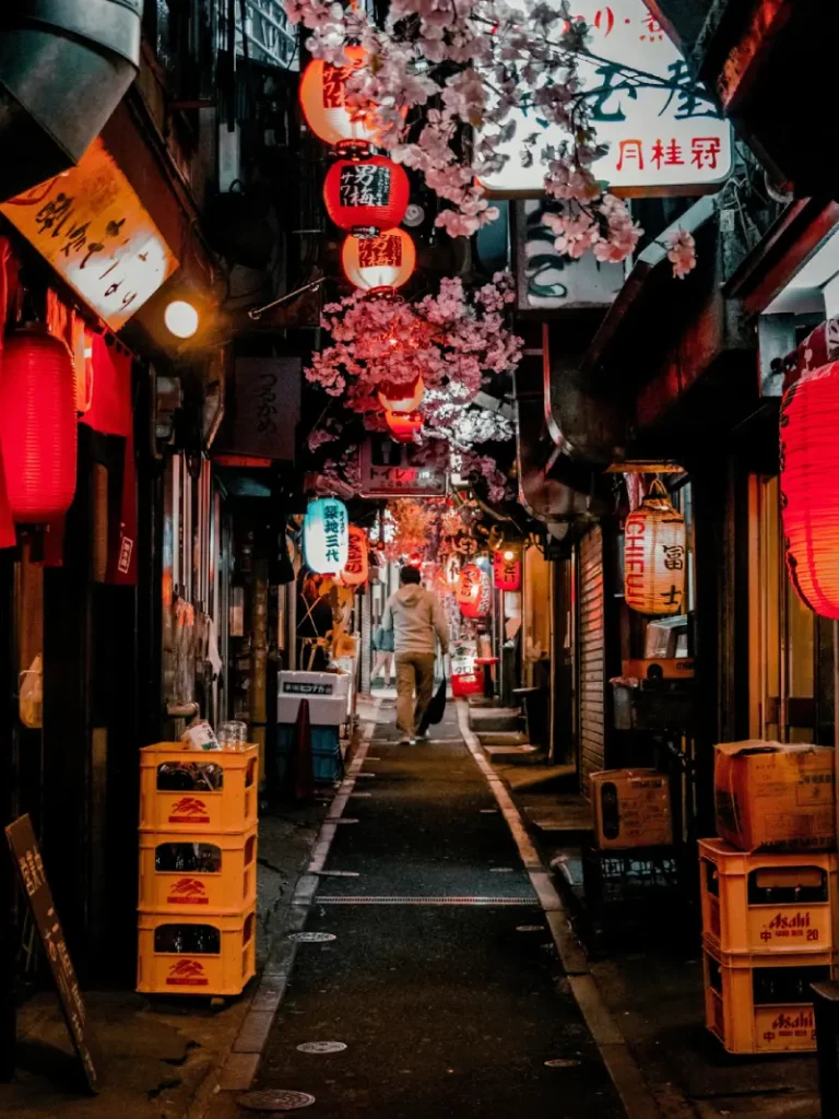 Omoide Yokocho 