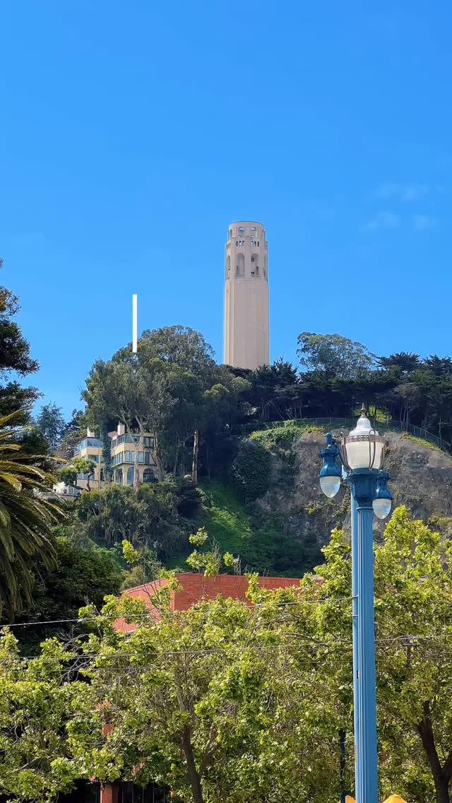 It’s day 7 in San Francisco and here’s everything I got up to:

☕ started the morning with a Blue Bottle coffee
🥪 finally tried Mendocino Farms after hearing so many people recommend it and went for the chicken parm sandwich
⛴️ headed over to Alcatraz and even though the ferry queue was over an hour long it was 100% worth it
🏝️ explored the island and learnt all about the prison’s history plus the Native American occupation protest in the 1970s
🎧 definitely recommend doing the audio tour because it gives you so much context while walking around the prison cells
🚋 caught the F streetcar back over to Fisherman’s Wharf
🍨 went back to Ghirardelli Square for another chocolate sundae because it was too good not to have twice
🌉 spent our final evening at Presidio Tunnel Tops taking in the views of the Golden Gate Bridge one last time
🍕 grabbed focaccia pizza and cookies from Il Parco and honestly it was the perfect final dinner spot
🏨 headed back to the hotel to pack up and say goodbye to San Francisco

Comment LINK if you want my free travel guide to San Francisco and I’ll send it straight to you 💌

ad/gifted stay at @galleriaparkhotel 

#sanfrancisco #thingstodoinsanfrancisco #sanfranciscoguide #sanfranciscothingstodo

San Francisco, things to do in San Francisco, where to stay in San Francisco, San Francisco guide, San Francisco things to do, San Francisco itinerary