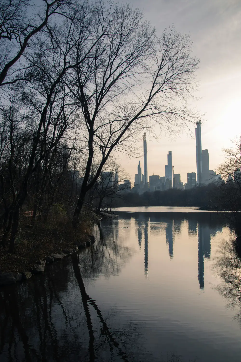 Best Things To Do In New York In February 2026