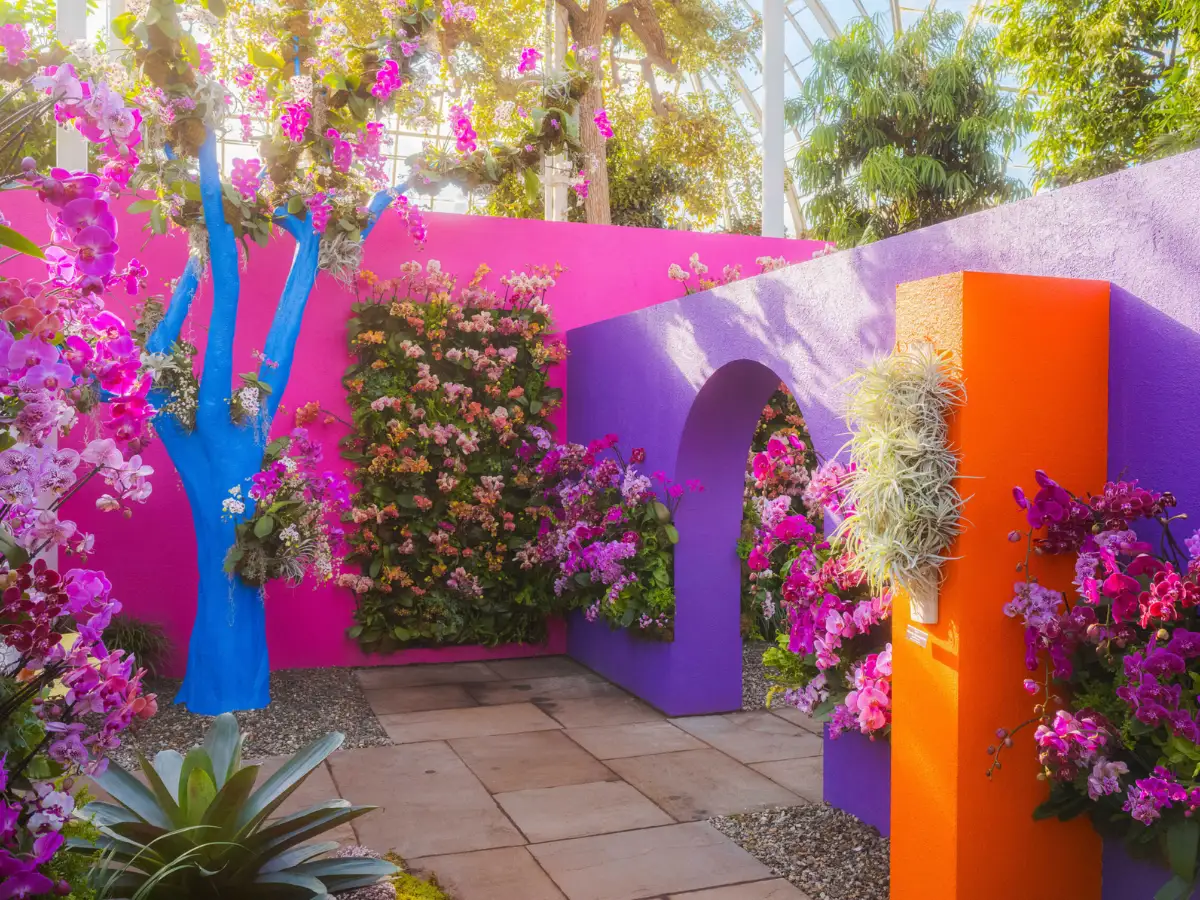The Orchid Show at The New York Botanical Garden_