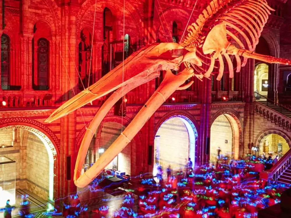 Valentine’s Silent Disco at the Natural History Museum