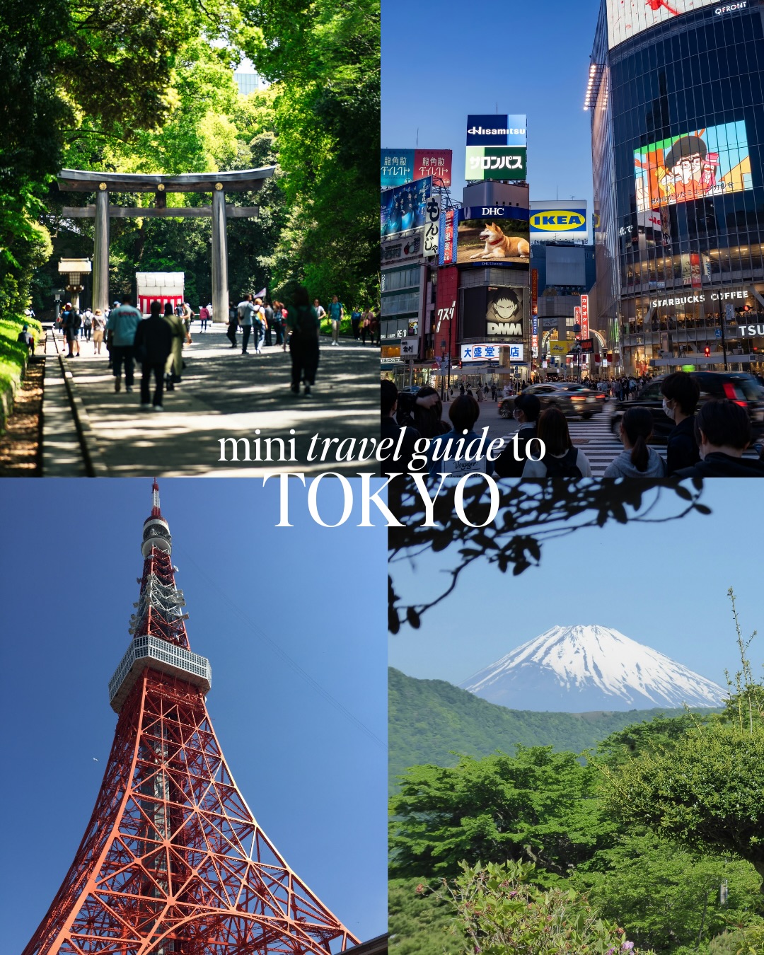 Comment LINK for my free travel guide to Tokyo 🇯🇵🍣🏙️

Make sure you’re following @thegirlstripto for easy travel guides, realistic tips and planning help that actually gets your girls trip out of the group chat.

Tokyo is one of those cities that doesn’t feel real the first time you visit and it can feel overwhelming to plan because there is soooooo much to see and everything is spread out. I’ve pulled together a mini guide to help you organise it properly, including where to stay, must see sights with prices, the best brunch and coffee spots, and rooftop views that are actually worth your time.

If you’re heading to Tokyo and want my full free Tokyo Travel Guide with even more tips, routes and planning advice, comment LINK below and I’ll send it straight to you 💌

#Tokyo #TokyoTravel #TokyoGuide #JapanTravel #TokyoItinerary

Tokyo travel guide, Tokyo itinerary, Tokyo travel tips, Tokyo things to know, Japan girls trip, Tokyo planning guide
