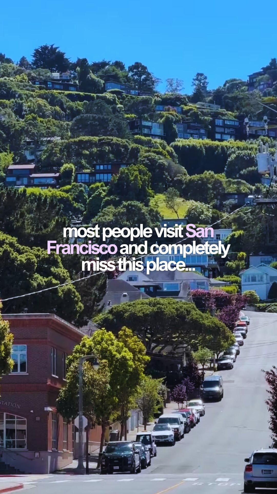 If you’re planning a trip to San Francisco, make sure you add Sausalito to your itinerary!

Sausalito is a cute waterfront town that’s perfect for a half-day trip from the city and is just across the Golden Gate Bridge. 

You can either:

🚲 hire bikes from Fisherman’s Wharf and cycle across the Golden Gate Bridge

🚌 or take the bus from the Golden Gate Bridge to Sausalito (which is what I did)

Once you’re there, spend a few hours walking around the shops, grabbing lunch by the water and enjoying some of the best views of the San Francisco skyline.

When you’re ready to head back, take the ferry from Sausalito to the Ferry Building. It costs around $8 with a Clipper Card and the views on the journey back are worth it alone.

💡 Top tip: add a Clipper Card to your Apple Wallet before your trip as you’ll use it for public transport and the ferry.

If you want my full guide to San Francisco, just comment LINK below and I’ll send it straight to you 💌

#sanfrancisco #thingstodoinsanfrancisco #sanfranciscoguide #sanfranciscothingstodo

San Francisco, things to do in San Francisco, where to stay in San Francisco, San Francisco guide, San Francisco things to do, San Francisco itinerary