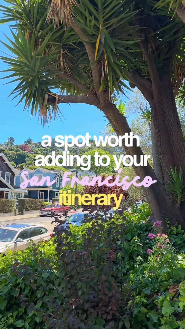 Comment LINK and I’ll send you my full San Francisco travel guide straight to your DMs 

If you’re visiting San Francisco, make sure you add Sausalito to your itinerary! 

It’s a gorgeous waterfront town just across the Golden Gate Bridge and such an easy half day trip from San Francisco.

Here’s how I’d do it:

🚲 option 1: hire a bike and cycle across the Golden Gate Bridge into Sausalito, allow around 1.5 to 3 hours depending on your route and how often you stop.

🚌 option 2: get the bus from the Golden Gate Bridge to Sausalito, it takes around 18 minutes and costs roughly $5.

Once you’re there make sure you spend a couple of hours walking along the waterfront, exploring the local shops and stopping somewhere for lunch.

Then instead of going back the same way, get the ferry back to San Francisco. You’ll get some of the BEST views of the San Francisco skyline, sail past Alcatraz and arrive back at the Ferry Building. Just make sure you have a Clipper card set up on your phone as you can get a discounted ferry fare.

This is such an easy addition to your San Francisco itinerary and somewhere I’d definitely visit again!

Comment LINK and I’ll send you my full San Francisco travel guide with more things to do, where to stay and everything you need to plan your trip.

#SanFrancisco #Sausalito #SanFranciscoTravel #CaliforniaTravel #SanFranciscoGuide 

San Francisco, Sausalito, things to do in San Francisco, Sausalito California, San Francisco travel guide, San Francisco itinerary, Sausalito day trip, San Francisco day trips
