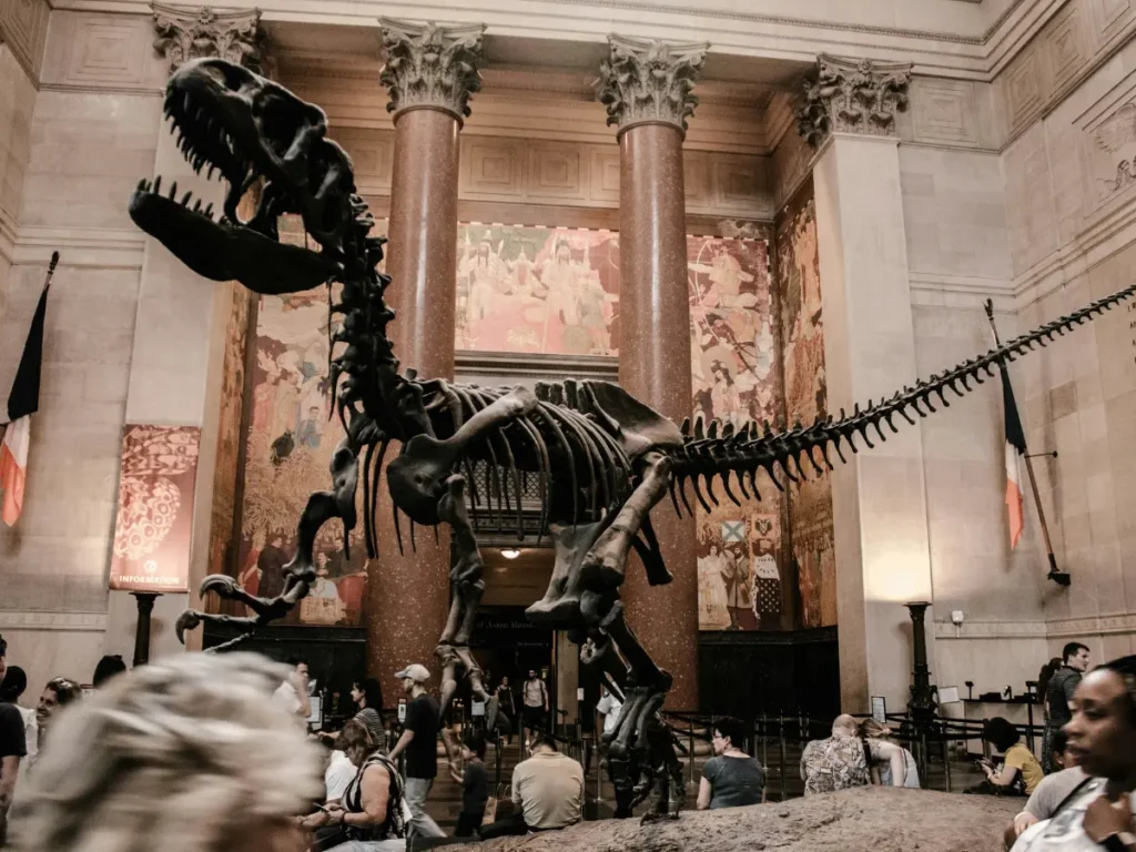 American Museum of Natural History