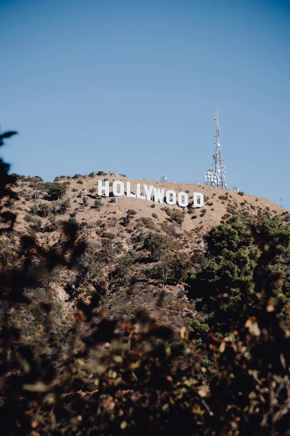 Best Things to Do in Los Angeles in February