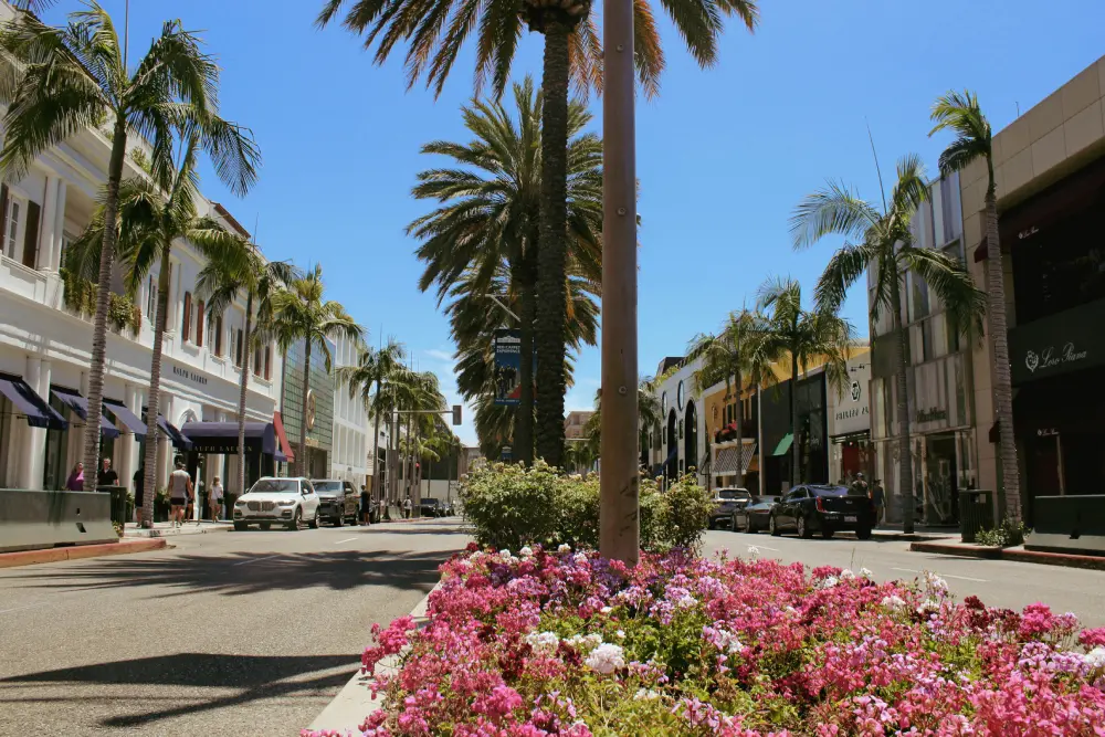 Rodeo Drive