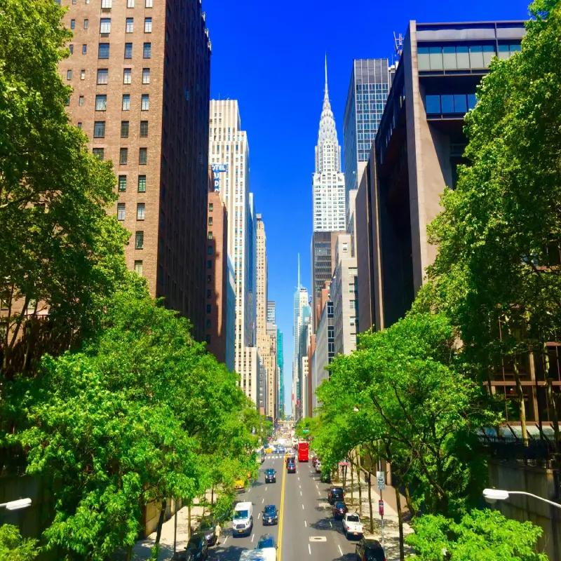 Best Things To Do In New York In May 2026