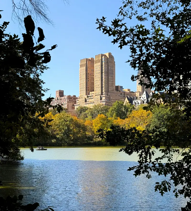 Central Park summer 