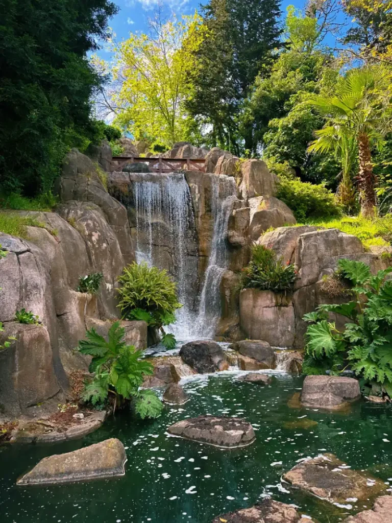 Golden Gate Park Waterfall