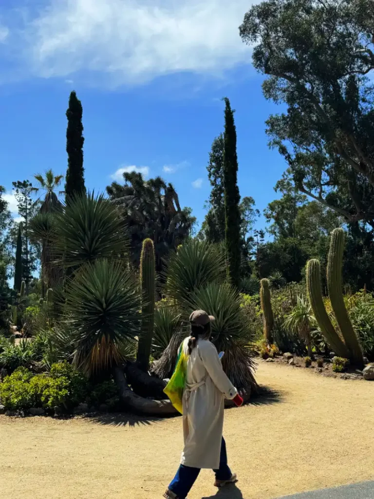 Stanford Cactus Garden