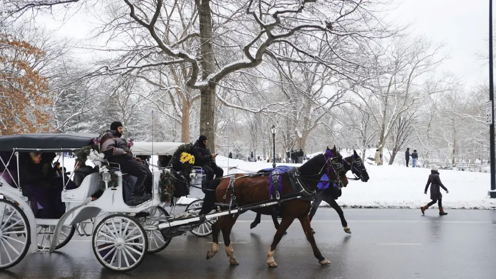 Central Park snow