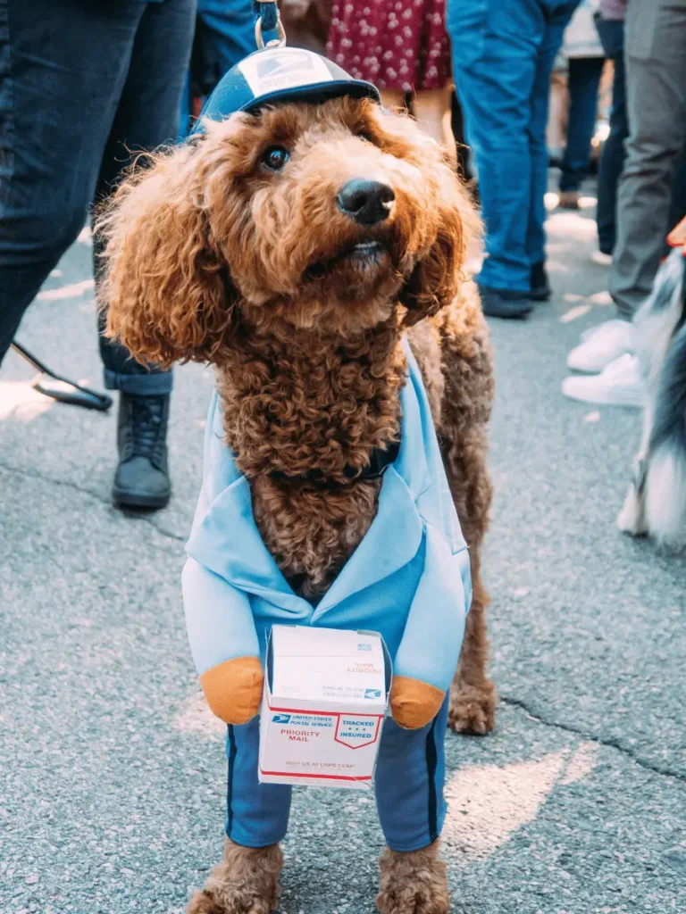 Tompkins Square Halloween Dog Parade