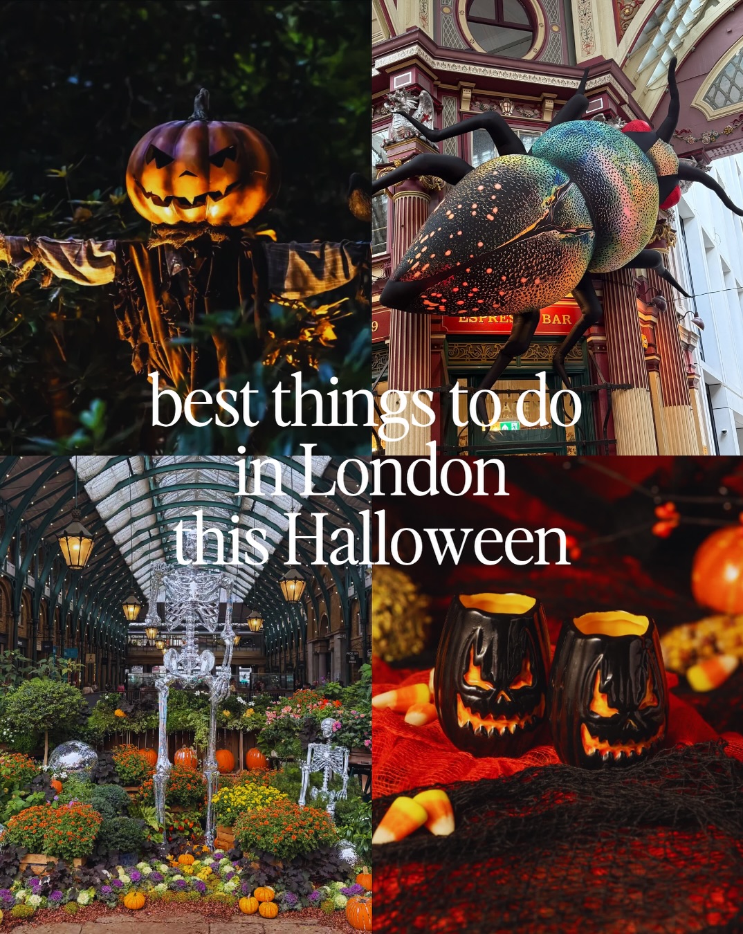 COMMENT LINK FOR MY FULL GUIDE ON THE BEST THINGS TO DO IN LONDON THIS HALLOWEEN 🎃💀👻

I do all the searching and planning to help make your girls’ trip actually happen and I share monthly updates on the best places to go. Make sure you follow @thegirlstripto so you’re always in the loop.

Here’s a breakdown of some of my faveee things happening in London this Halloween:

Halloween at Kew Gardens
16th October - 1st November
tickets start from £16.75

Rooftop Cinema Club Peckham 
horror films showing throughout October
tickets start from £17

The Haunting on Russell Street
1st October - 1st November
Halloween themed cocktail pop-up bar,

Halloween Decorated Homes in London
best neighbourhoods include Kensington, Holland Park, Notting Hill and Belgravia, free to visit

Taste Film presents Hocus Pocus
dates through October and November
tickets start from £87.50

Hobbledown Heath Pumpkin Patch
25th September - 1st November
tickets start from £12

Halloween at the Tower of London
24th October - 1st November
tickets start from £19

Halloween in Covent Garden
Halloween installation up until 1st November
free to visit

Annabel’s Halloween Facade
remains up for approximately a month through November, free to visit 

Leadenhall Market Giant Beetle 
29th September - 7th October, free to visit

Comment LINK and I’ll send you my full guide to the best things to do in London this Halloween 💌

#HalloweeninLondon #LondonHalloween #LondoninOctober #HalloweenLondon 

things to do in London, London Halloween, London at Halloween, London Halloween decorations, London Halloween things to do, things to do in London at Halloween, London travel guide