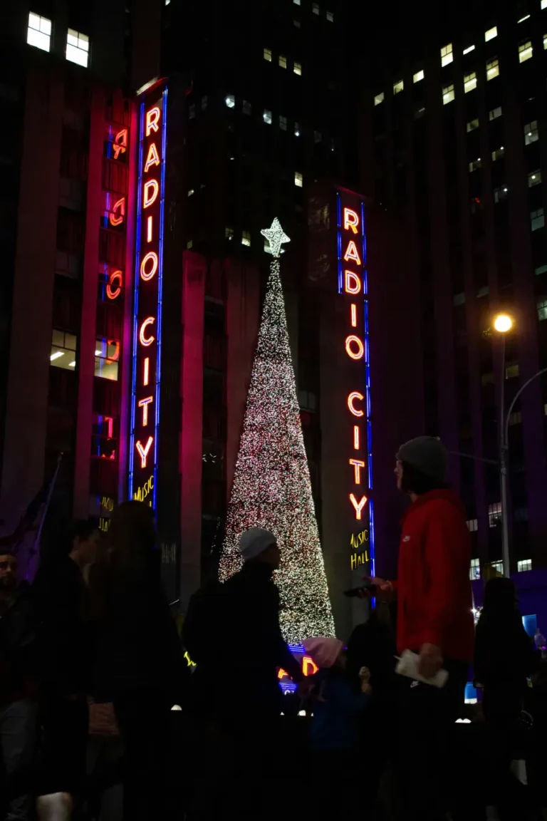 Best Things to Do in New York in November