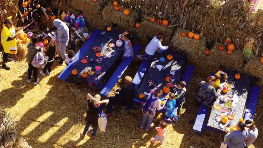 Halloween Harvest at Coney Island