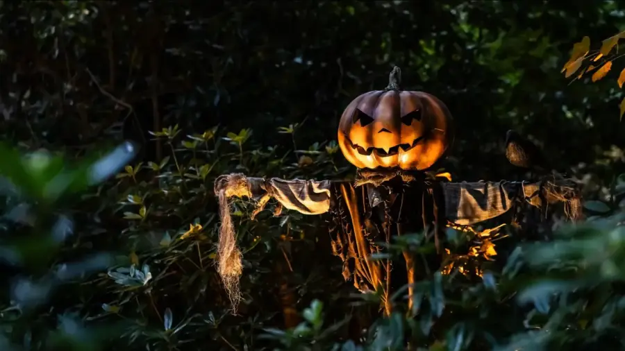 Halloween at Kew Gardens