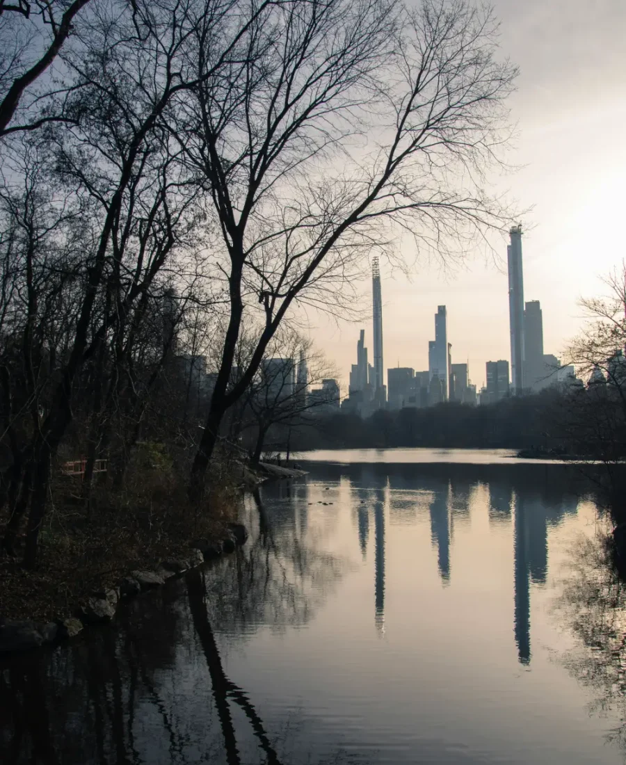 Best Things to Do in New York in February