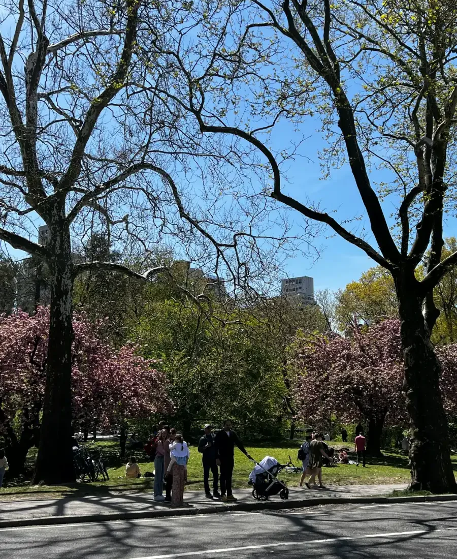 Best Things to Do in New York in March