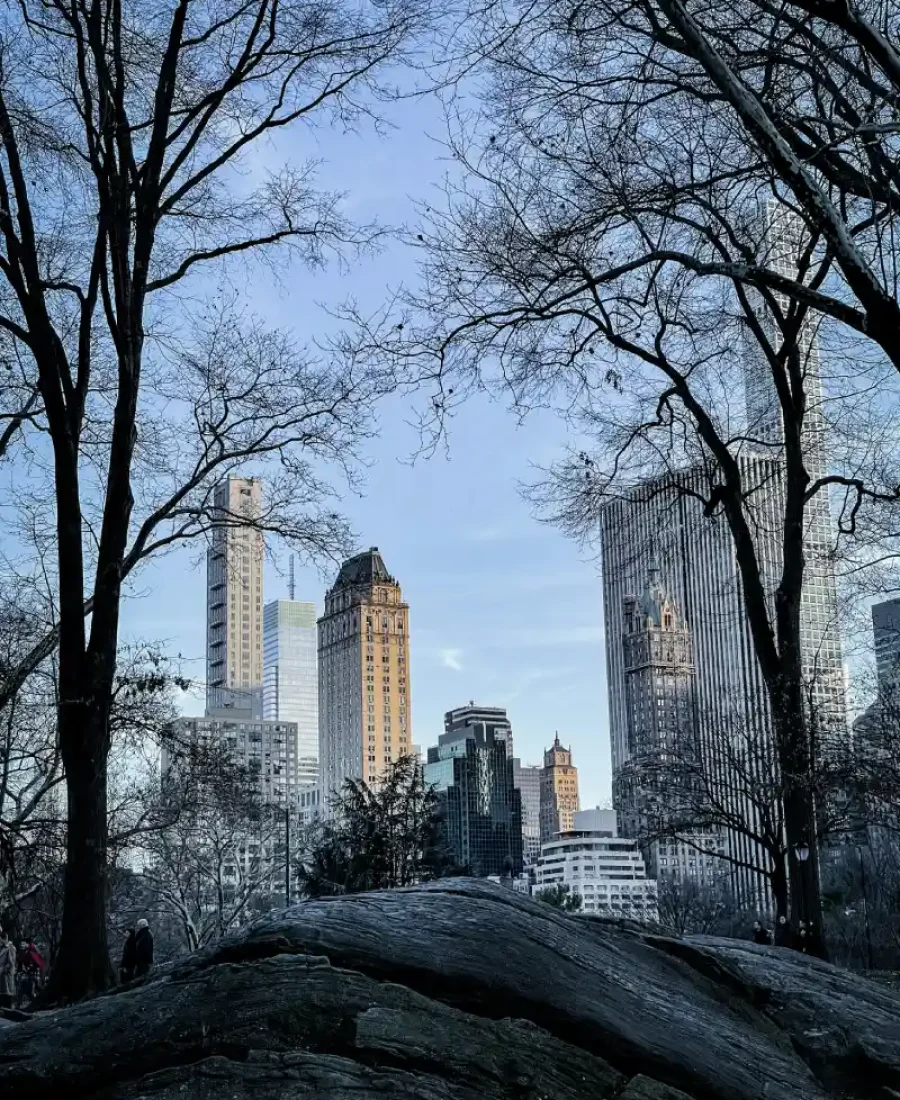 things to do in new york in January